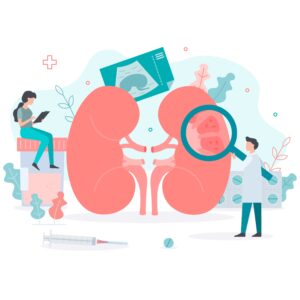 The health of the kidneys. Treatment of pyelonephritis. Medical concept. Flat vector illustration. The health of the kidneys. Treatment of pyelonephritis. Doctors conduct medical research for kidney inflammation. Medical concept with tiny people. Flat vector illustration.